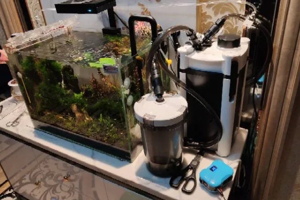 滴流盒滤材的摆放顺序，第一层下面铺玻璃环