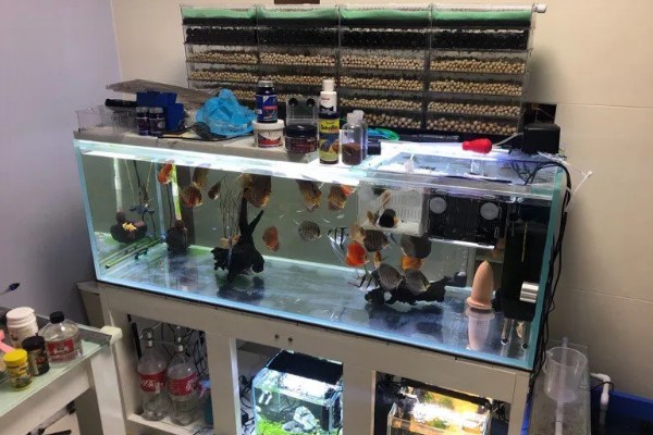 滴流盒滤材的摆放顺序，第一层下面铺玻璃环