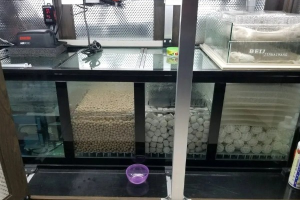 滴流盒滤材的摆放顺序，第一层下面铺玻璃环