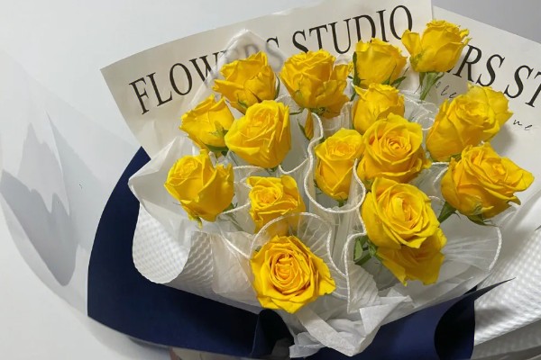 男生赠送黄玫瑰的含义,代表爱恋与期许、友谊长存等意思