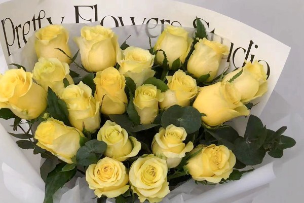 男生赠送黄玫瑰的含义,代表爱恋与期许、友谊长存等意思