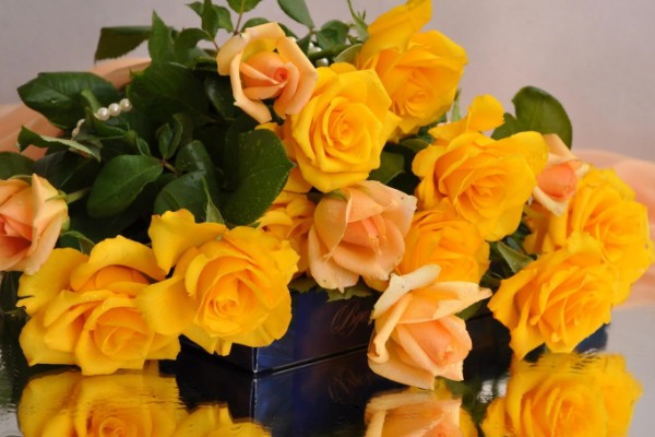 男生赠送黄玫瑰的含义,代表爱恋与期许、友谊长存等意思