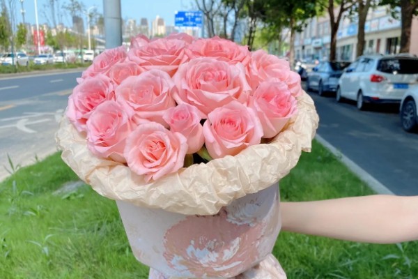 男生赠送黄玫瑰的含义,代表爱恋与期许、友谊长存等意思