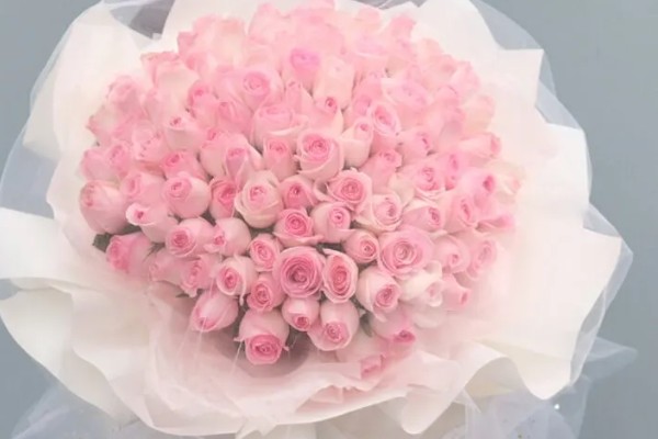 男生赠送黄玫瑰的含义,代表爱恋与期许、友谊长存等意思