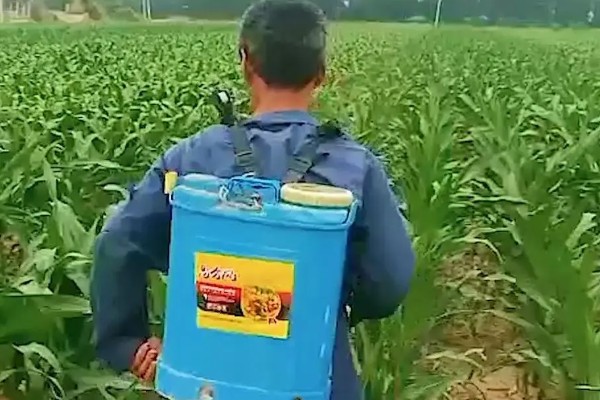 使用玉米封闭除草剂的温度要求，平均气温低于15℃时不能用药