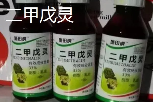 使用玉米封闭除草剂的温度要求，平均气温低于15℃时不能用药