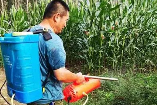 使用玉米封闭除草剂的温度要求，平均气温低于15℃时不能用药