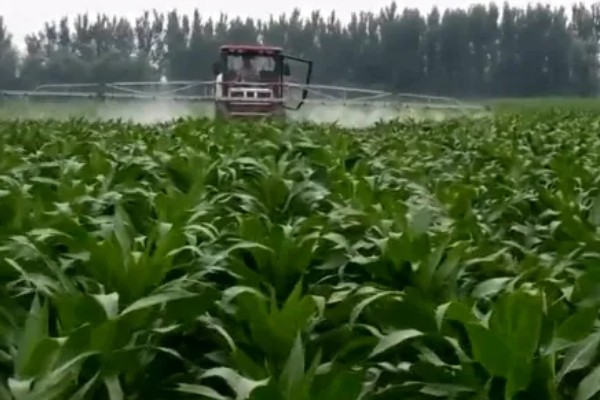 使用玉米封闭除草剂的温度要求，平均气温低于15℃时不能用药