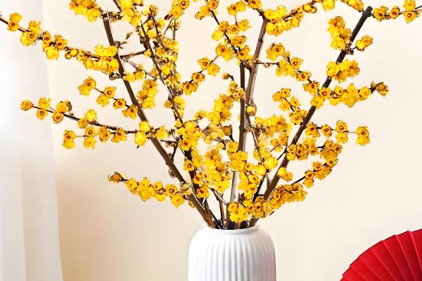 腊梅怎么扦插，用生根水浸泡后再插入土壤中