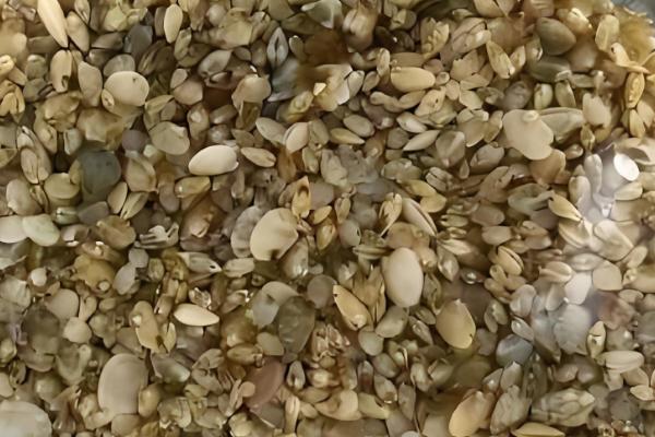 避免花甲死亡的方法,要在水源充足、水质洁净的地方养殖