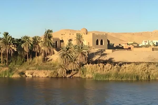 埃及的主产农作物，以小麦、玉米、稻谷等类型为主