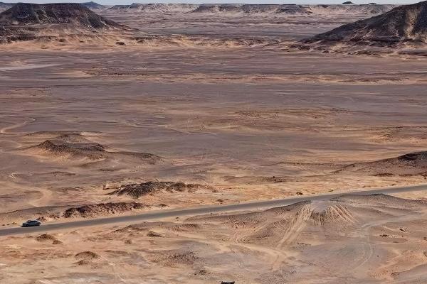 埃及的主产农作物，以小麦、玉米、稻谷等类型为主