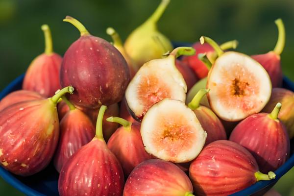 无花果的食用方法，可直接当鲜果食用