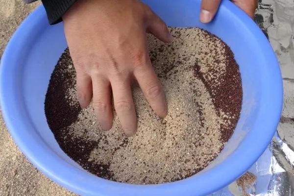 重楼的常见病虫害，常见的有黑斑病、茎腐病等