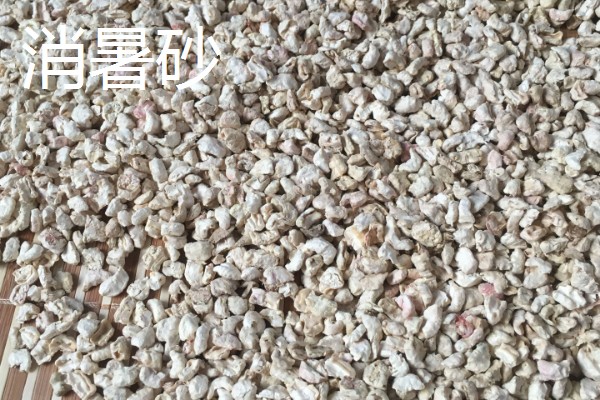 仓鼠夏天脱毛是否正常,属于正常的生理现象