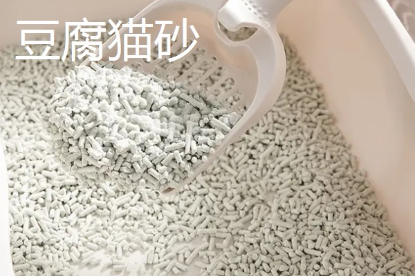 仓鼠夏天脱毛是否正常,属于正常的生理现象