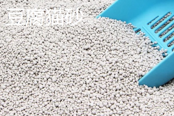 仓鼠夏天脱毛是否正常,属于正常的生理现象