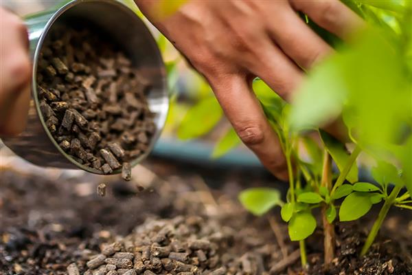 氮磷钾是哪种肥料,氮磷钾不是肥料