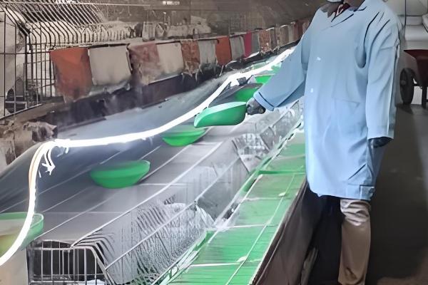 家庭养兔怎么建兔舍,进出口要设置好消毒池