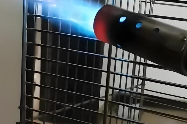 家庭养兔怎么建兔舍,进出口要设置好消毒池