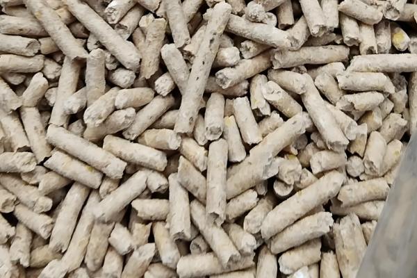 家庭养兔怎么建兔舍,进出口要设置好消毒池