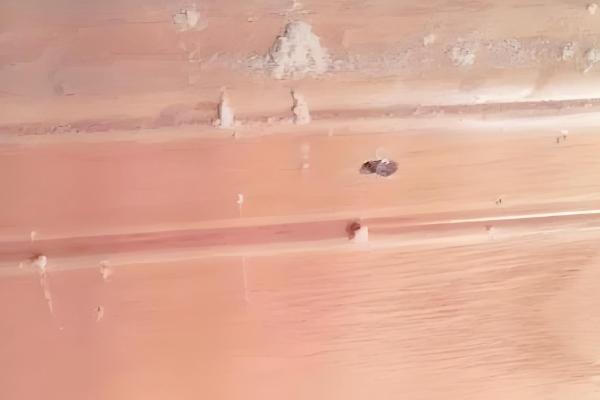 粉蠹虫的防治方法,采用蒸气高温脱脂法可杀灭成虫和虫卵