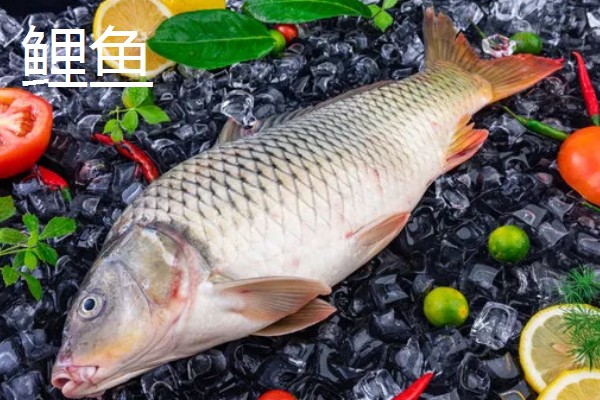 草鱼还是鲤鱼刺多，草鱼的刺更多