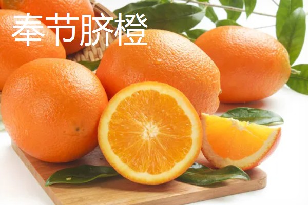 富川脐橙简介，产于广西省贺州市富川县