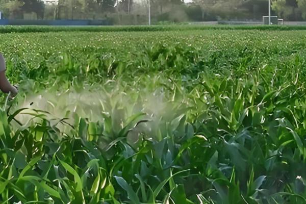 草甘膦对土壤有什么危害，会导致土壤钝化、污染土壤环境