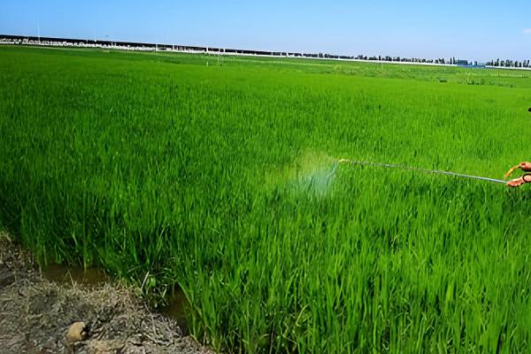 草甘膦对土壤有什么危害，会导致土壤钝化、污染土壤环境