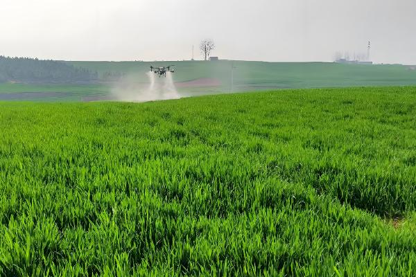 草甘膦对土壤有什么危害，会导致土壤钝化、污染土壤环境