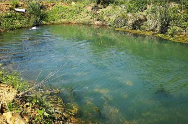 鱼塘有鱼腥味的原因，因为水底腐殖质较多所致