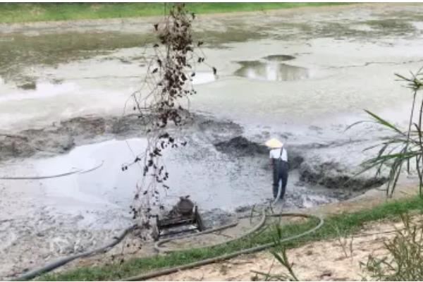 鱼塘有鱼腥味的原因，因为水底腐殖质较多所致