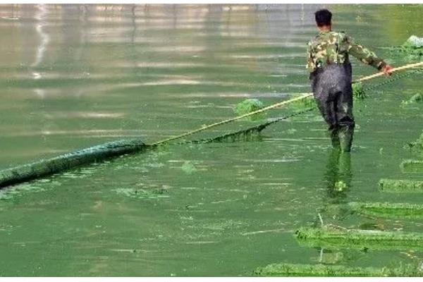 鱼塘有鱼腥味的原因，因为水底腐殖质较多所致