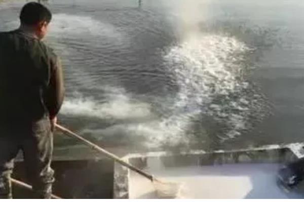 鱼塘有鱼腥味的原因，因为水底腐殖质较多所致