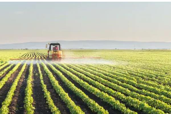 机械化栽培大豆的好处，合理密植可让产量提高20%