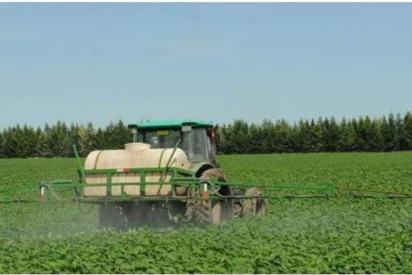 机械化栽培大豆的好处，合理密植可让产量提高20%