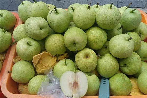 哪些梨水分多又甜，常见秋月梨、砀山酥梨等品种