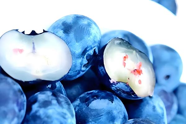 蓝莓对生长环境的要求,生长适温15-25℃
