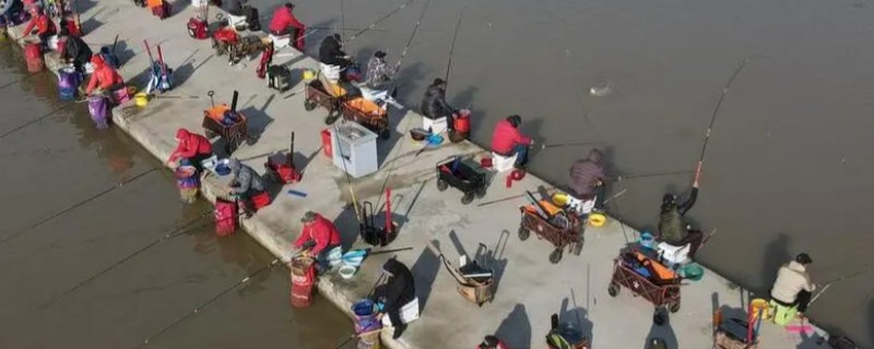 黑坑钓草鱼用什么饵，推荐自然饵、商品饵等