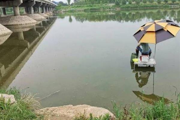 马口不开口的原因，可能是天气不合适所致