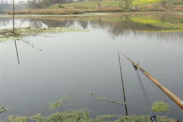 马口不开口的原因，可能是天气不合适所致
