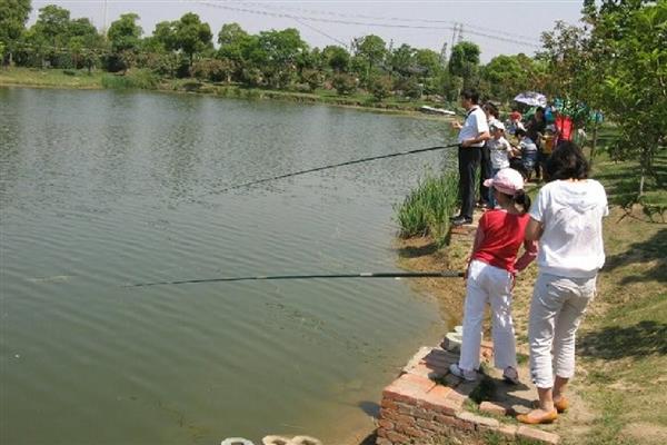 马口不开口的原因，可能是天气不合适所致