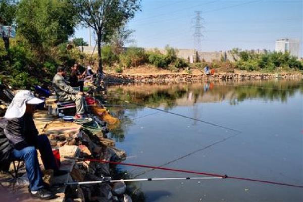 马口不开口的原因，可能是天气不合适所致
