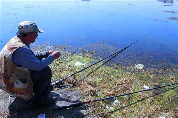 马口不开口的原因，可能是天气不合适所致
