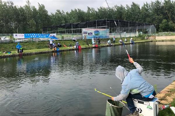 马口不开口的原因，可能是天气不合适所致