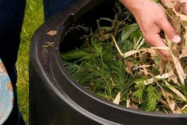 厨余垃圾堆肥后能不能滋养土壤,堆肥后可以作为肥料使用