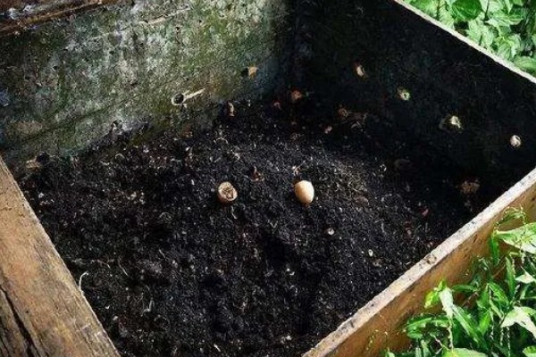 厨余垃圾堆肥后能不能滋养土壤,堆肥后可以作为肥料使用