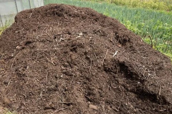 厨余垃圾堆肥后能不能滋养土壤,堆肥后可以作为肥料使用