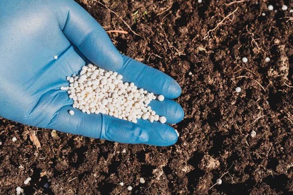 厨余垃圾堆肥后能不能滋养土壤,堆肥后可以作为肥料使用